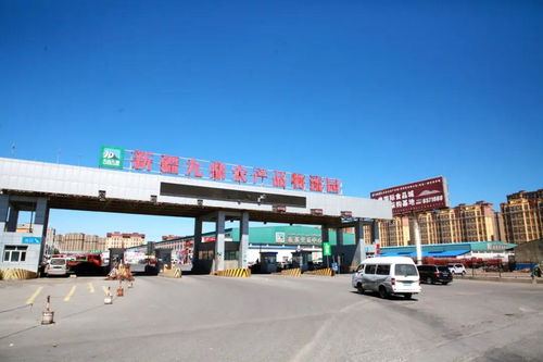 何念善 發揮中醫藥特色優勢 打贏防疫阻擊戰