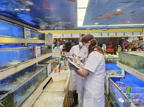 6月15日川觀早點(diǎn)來了